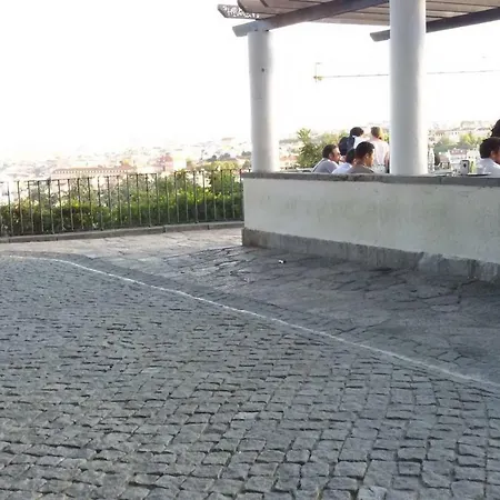 Sunny Orange Garden In リスボン