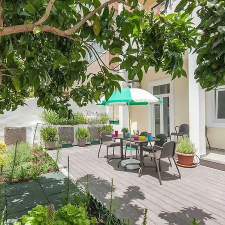 Sunny Orange Garden In