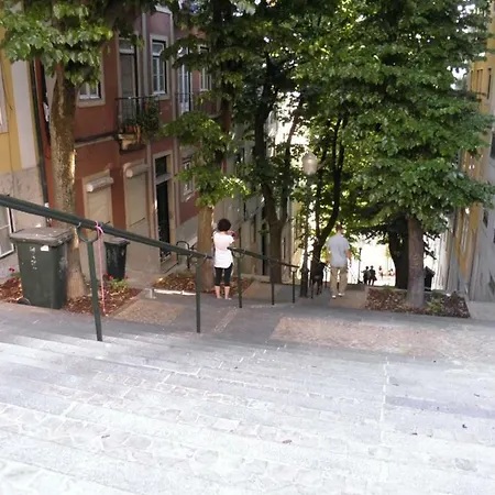 Daire Sunny Orange Garden In