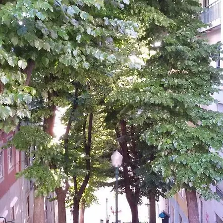 Sunny Orange Garden In * リスボン