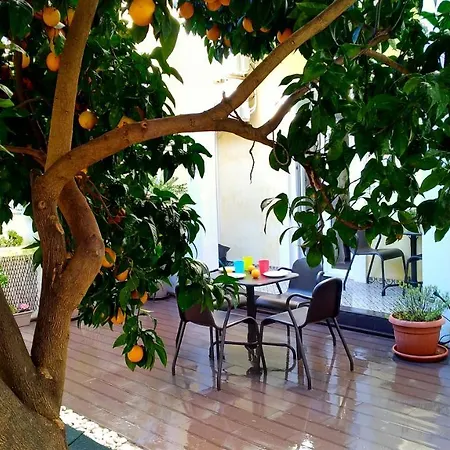 Sunny Orange Garden In * Lisbona