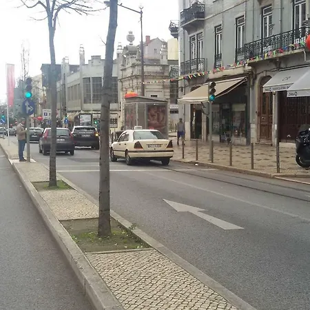 Sunny Orange Garden In *