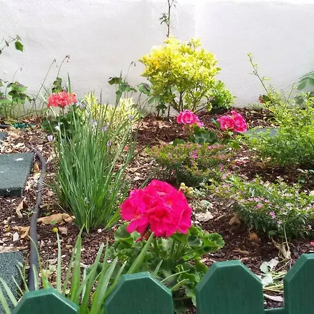 Sunny Orange Garden In Lejlighed