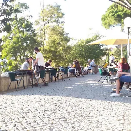 Lejlighed Sunny Orange Garden In Lisboa