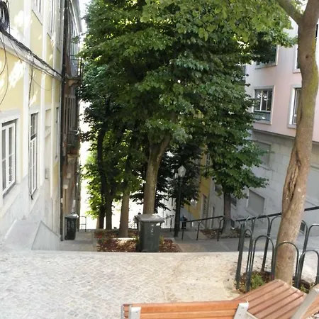 Sunny Orange Garden In * Lisboa