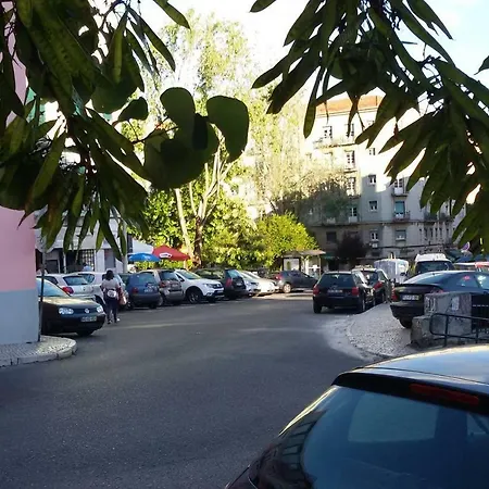 Sunny Orange Garden In