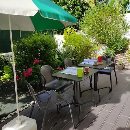 Sunny Orange Garden In ליסבון