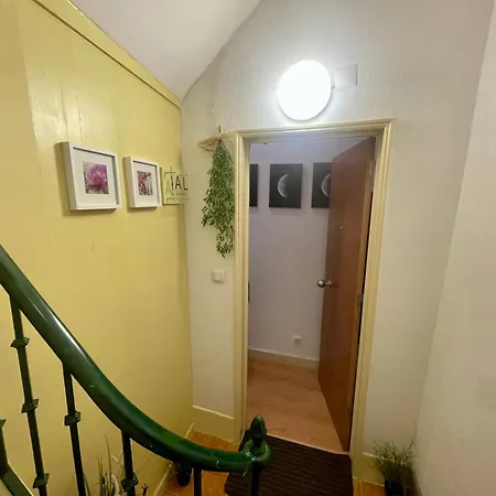 Sunny Orange Garden In Apartman