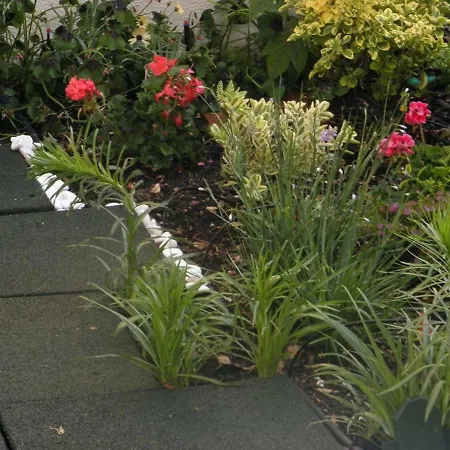 דירה Sunny Orange Garden In ליסבון