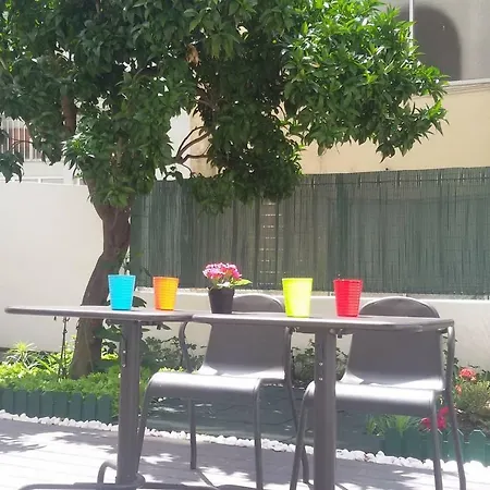Sunny Orange Garden In Apartman