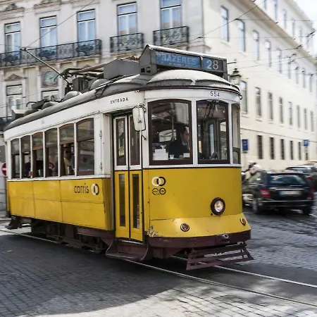 Sunny Orange Garden In *