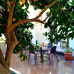 Sunny Orange Garden In * Lizbona