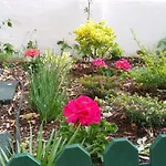 Sunny Orange Garden In Apartament
