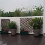 Sunny Orange Garden In Lizbona